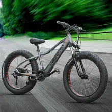 Electric Mountain Bike