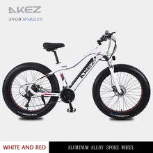 Electric Mountain Bike