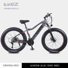 Electric Mountain Bike